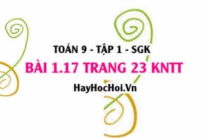 Bài 1.17 trang 23 Toán 9 tập 1 Kết nối tri thức SGK